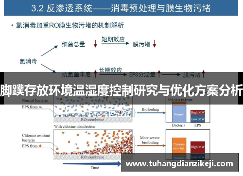 脚蹼存放环境温湿度控制研究与优化方案分析